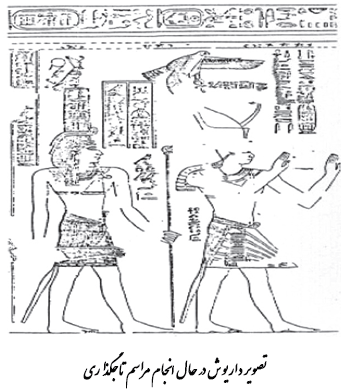 تصویر داریوش در حال انجام مراسم تاجگذاری